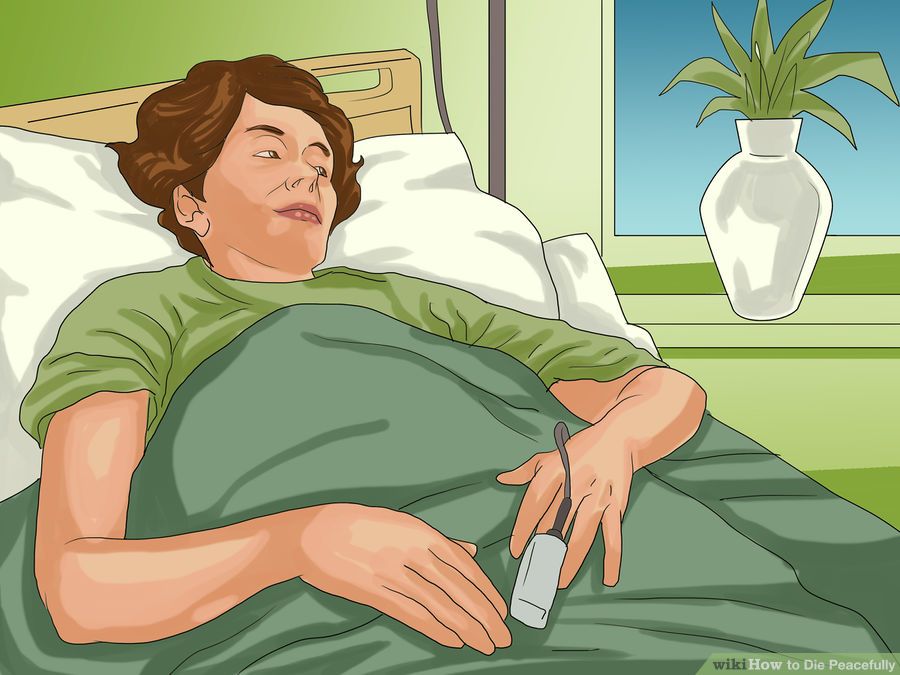 Cartoon illustration of a woman with short brown hair lying in a hospital bed against white pillows and a wooden headboard. She wears a green t-shirt and is covered by a green blanket. Her expression is calm with a slight smile as she looks upward. A pulse oximeter is clipped to her left index finger, connected to a small gray device. A window in the background shows a green plant in a white vase on the sill; walls are light green. wikiHow watermark appears in the bottom right.