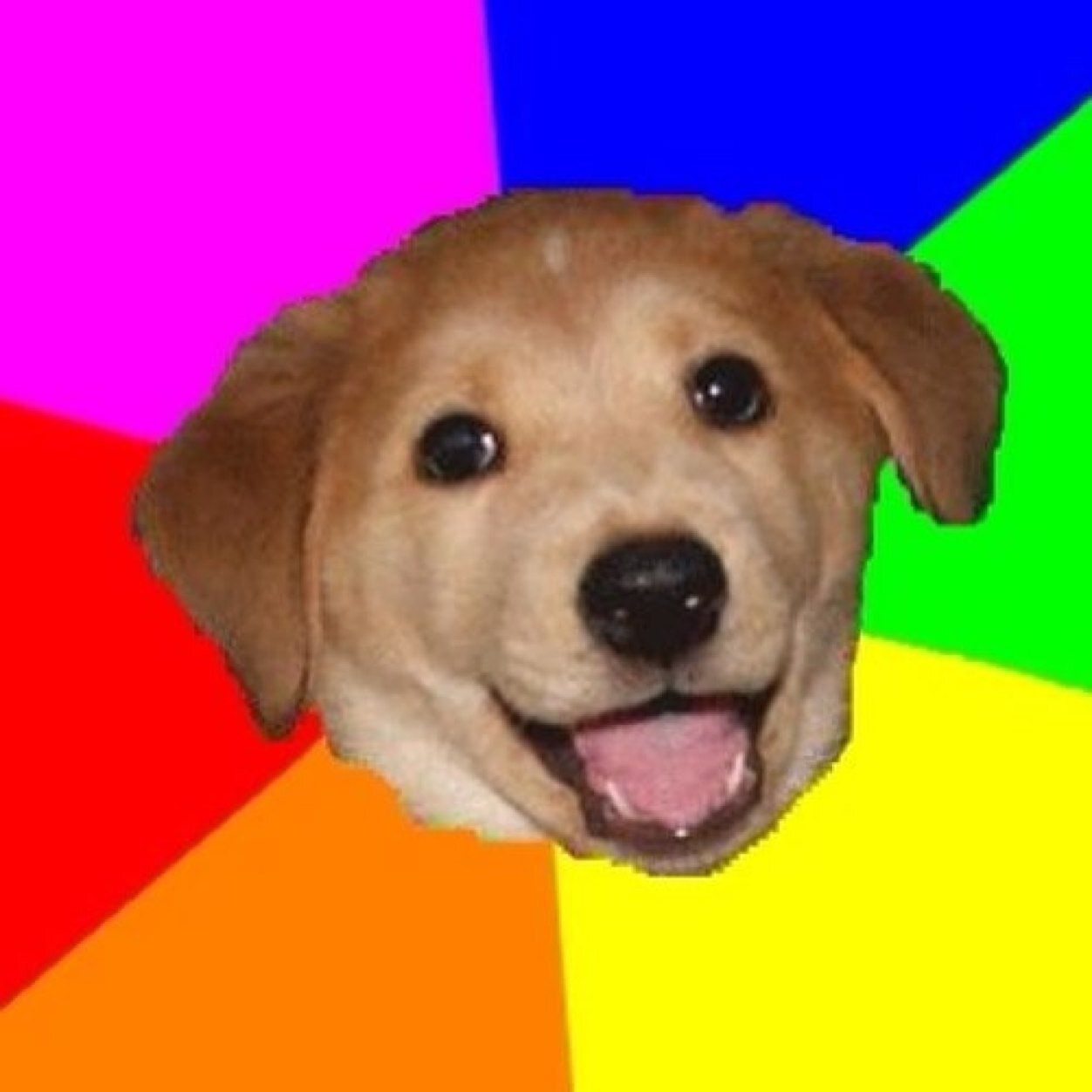 A light brown puppy head is centered in the frame, with floppy ears, dark shiny eyes, a black nose, and an open smiling mouth showing a pink tongue. The dog is cut out against a pinwheel of flat bright wedges: magenta, blue, green, yellow, orange, and red. No text is printed on the image.