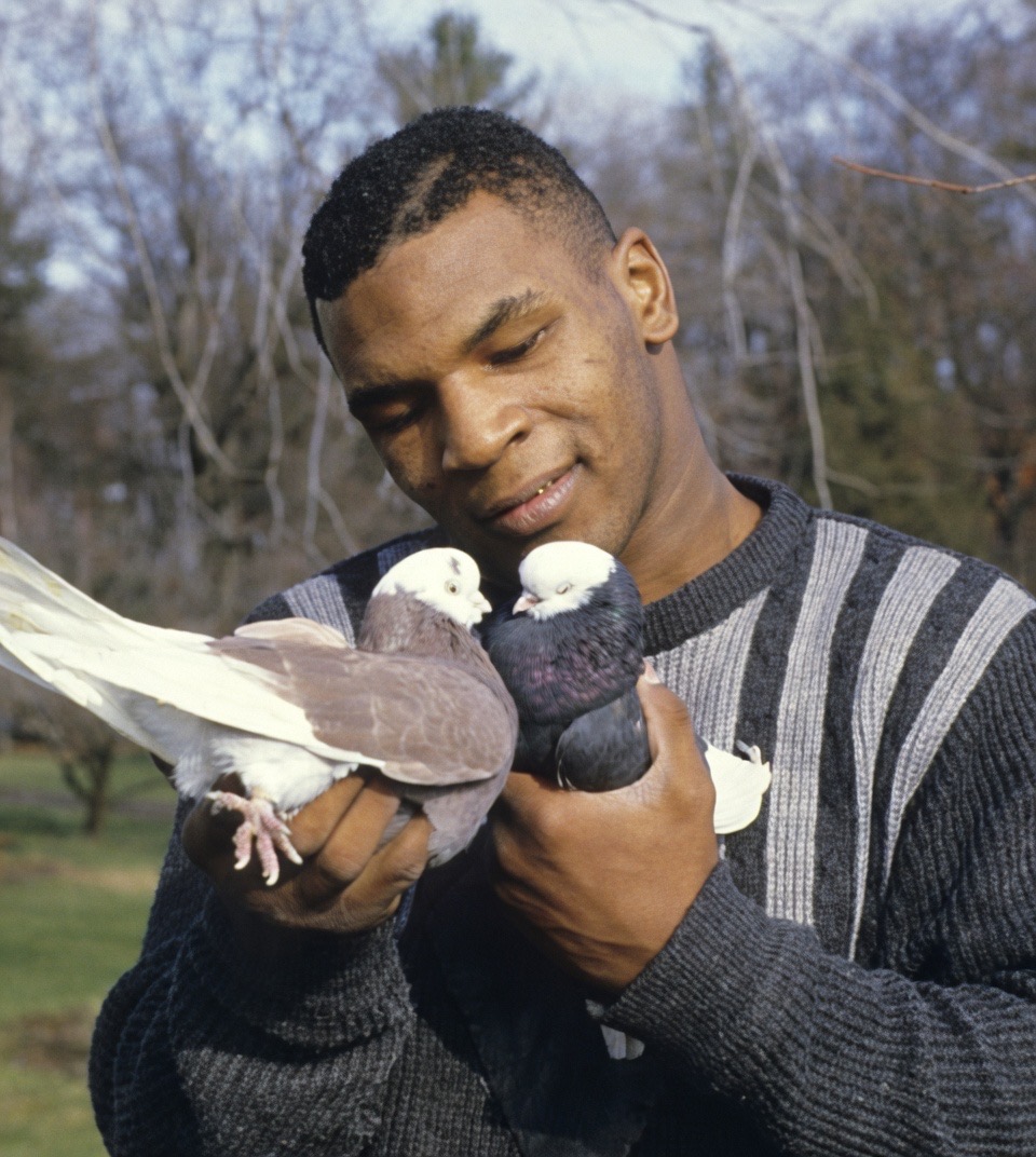 A man with a short fade haircut and a dark knit sweater with pale vertical stripes holds two pigeons close together, one in each hand. The birds face each other: the left bird is pale gray-brown with a white head and white tail, and the right bird is darker with a white head. He looks down at them with a slight smile. The background is a soft-focus park with bare trees and grass.