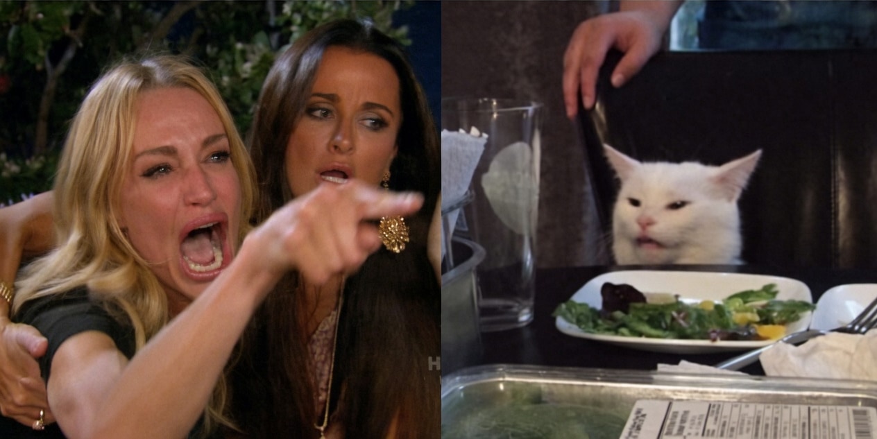 The image is a two-panel photo collage. Left panel shows a blonde woman in a black top shouting with mouth wide open and pointing her finger forward aggressively; a brunette woman stands beside her looking concerned or shocked. Right panel shows a white cat sitting at a dining table in front of a plate of salad/greens, staring forward with a narrowed-eyed, unimpressed or smug expression; a human hand reaches toward the cat from above and a glass and other table items are visible.