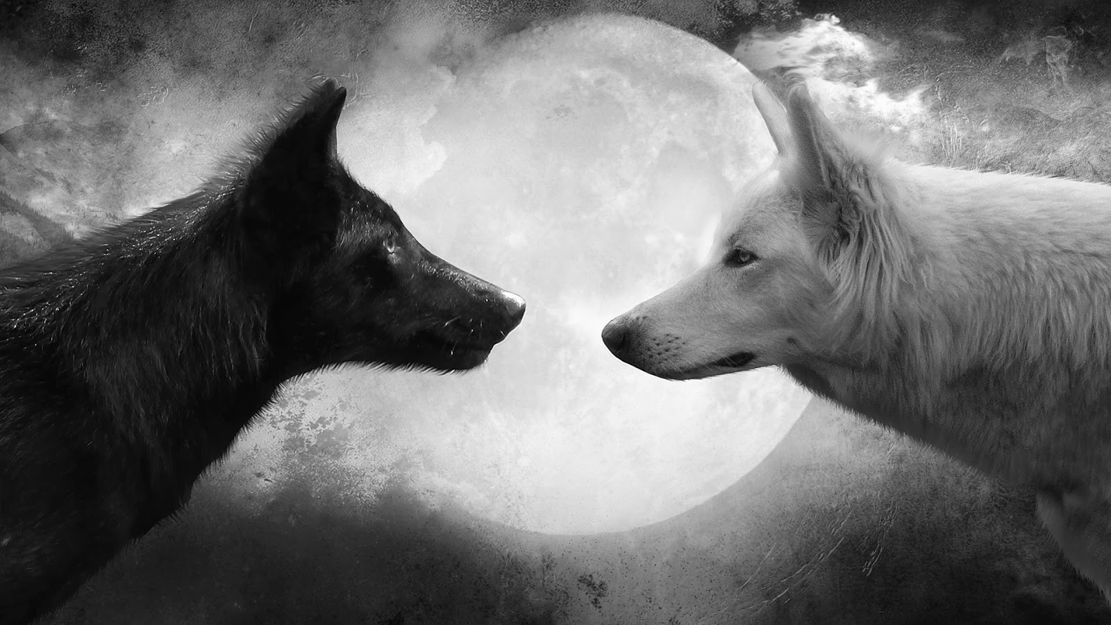 A black-and-white image of two wolves in profile, facing each other almost nose to nose. The wolf on the left is dark, with thick fur and a slightly open mouth. The wolf on the right is pale, with bright, heavy fur. A large full moon sits between them. The sky around the moon is cloudy and heavily textured, darker toward the edges. No text is on the image.