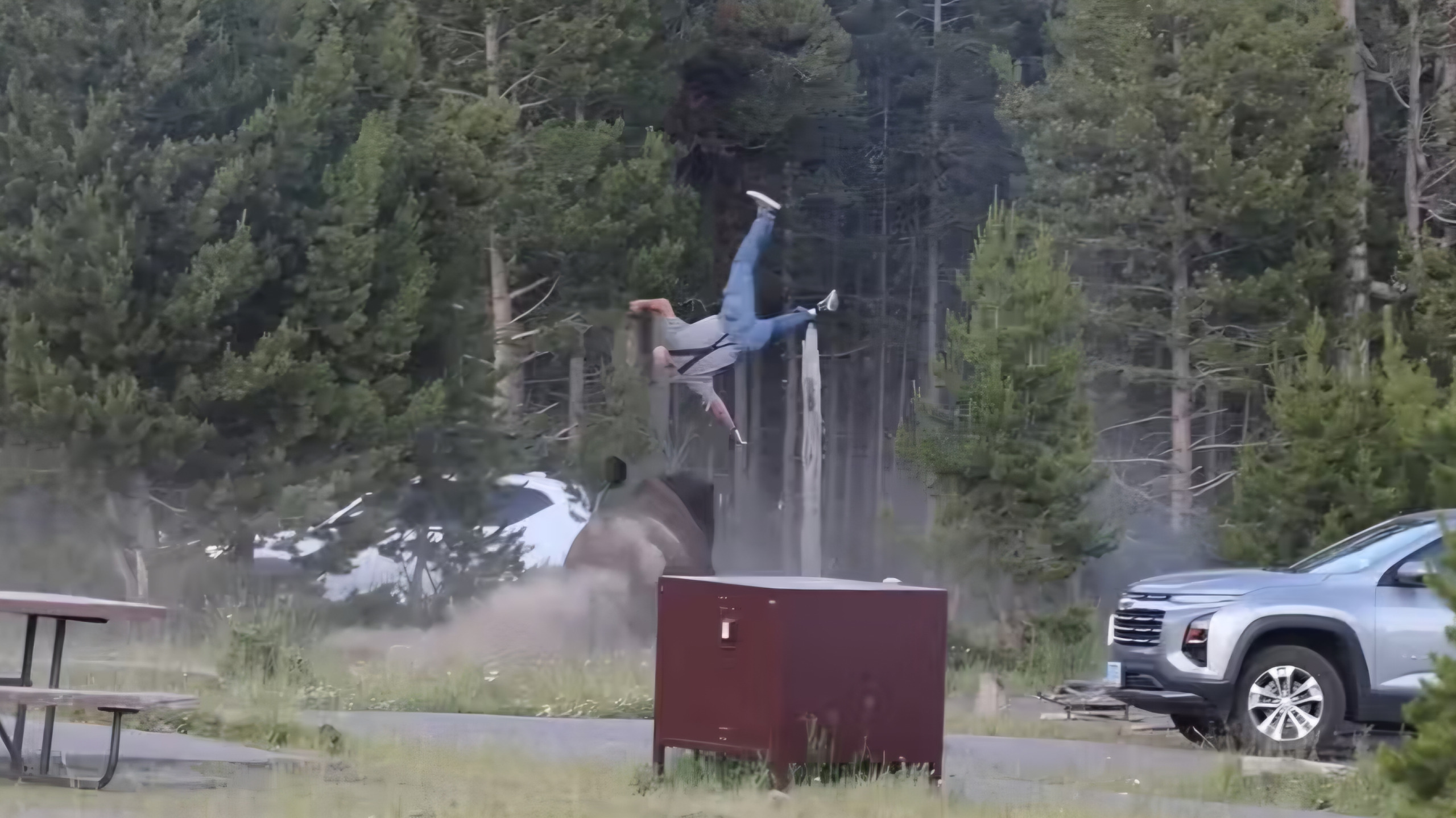 A person in jeans and a light shirt is mid-air upside-down with legs kicked upward after being violently thrown by a large dark bison. Dust and debris cloud the ground around the bison. A picnic table sits left, a red metal box is in the foreground center, a silver SUV is parked right, and a white vehicle is partially visible behind the bison. Dense green forest fills the background.